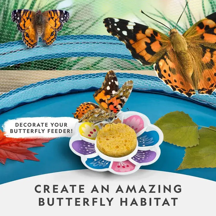 National Geographic Butterfly Growing Kit