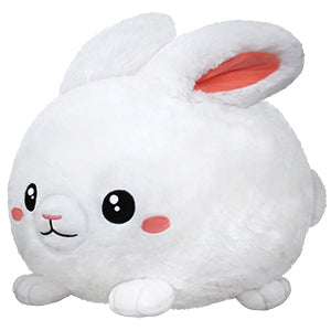 Pet Squishable