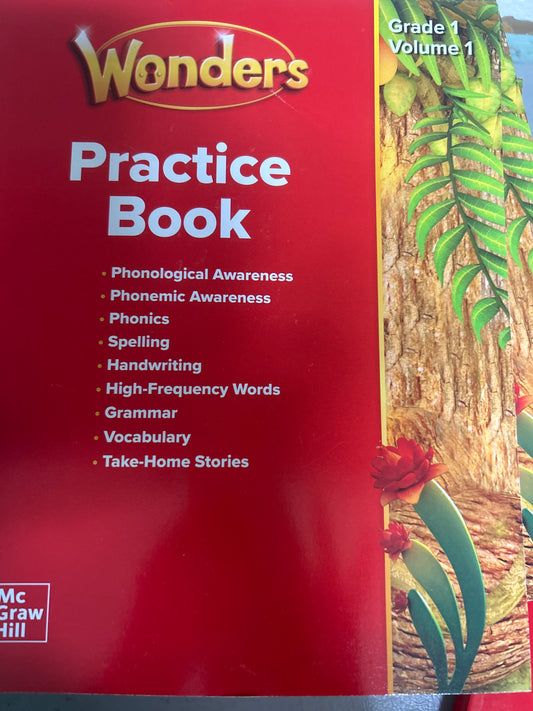 Wonders Practice Book