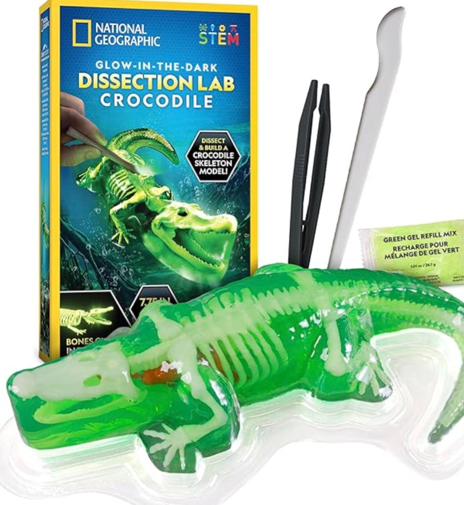 Glow in the Dark Dissection Lab Crocodile