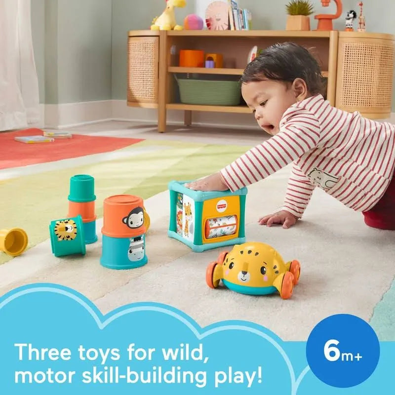 Fisher Price Sit & Crawl Gift Set