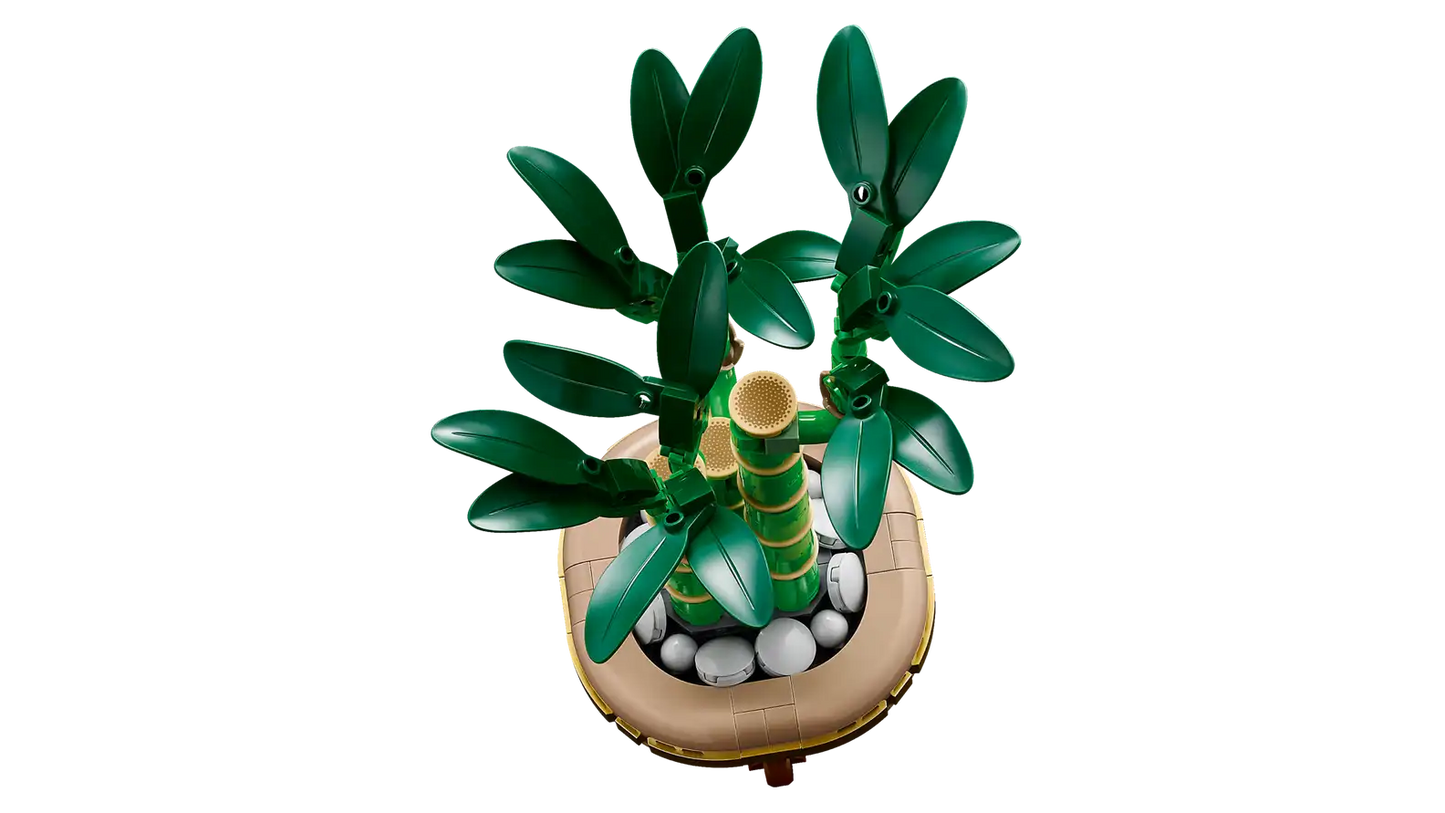 LEGO Botanicals 10344 Lucky Bamboo