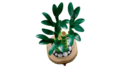 LEGO Botanicals 10344 Lucky Bamboo