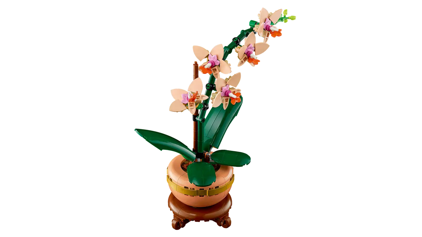 LEGO Botanicals 10343 Mini Orchid