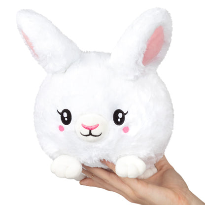 Pet Squishable