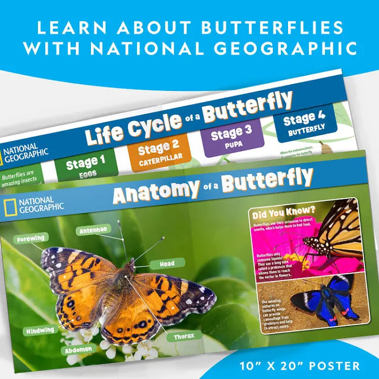 National Geographic Butterfly Growing Kit