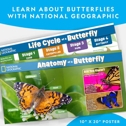 National Geographic Butterfly Growing Kit
