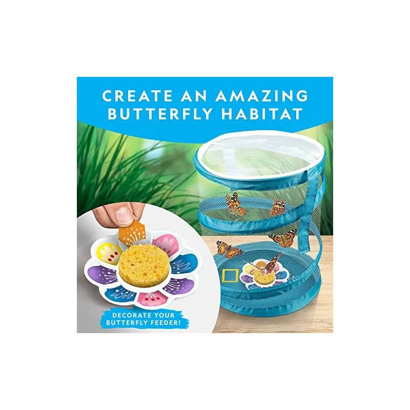 National Geographic Butterfly Growing Kit