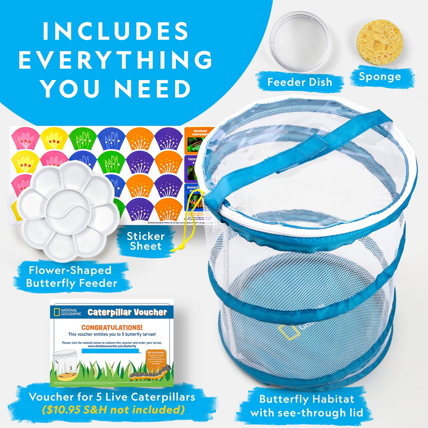 National Geographic Butterfly Growing Kit