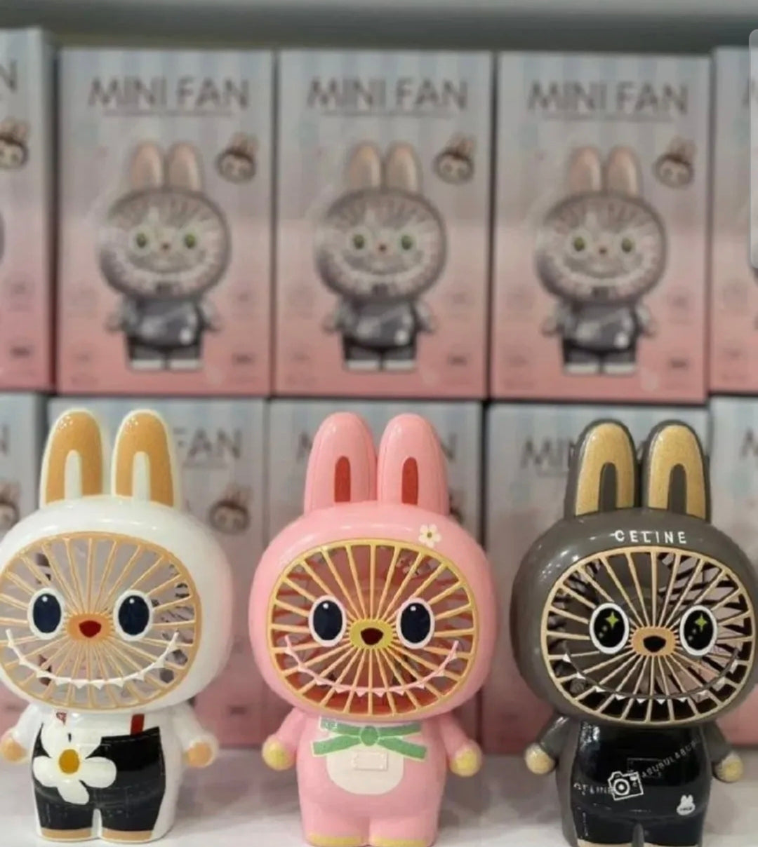 Mini Fan