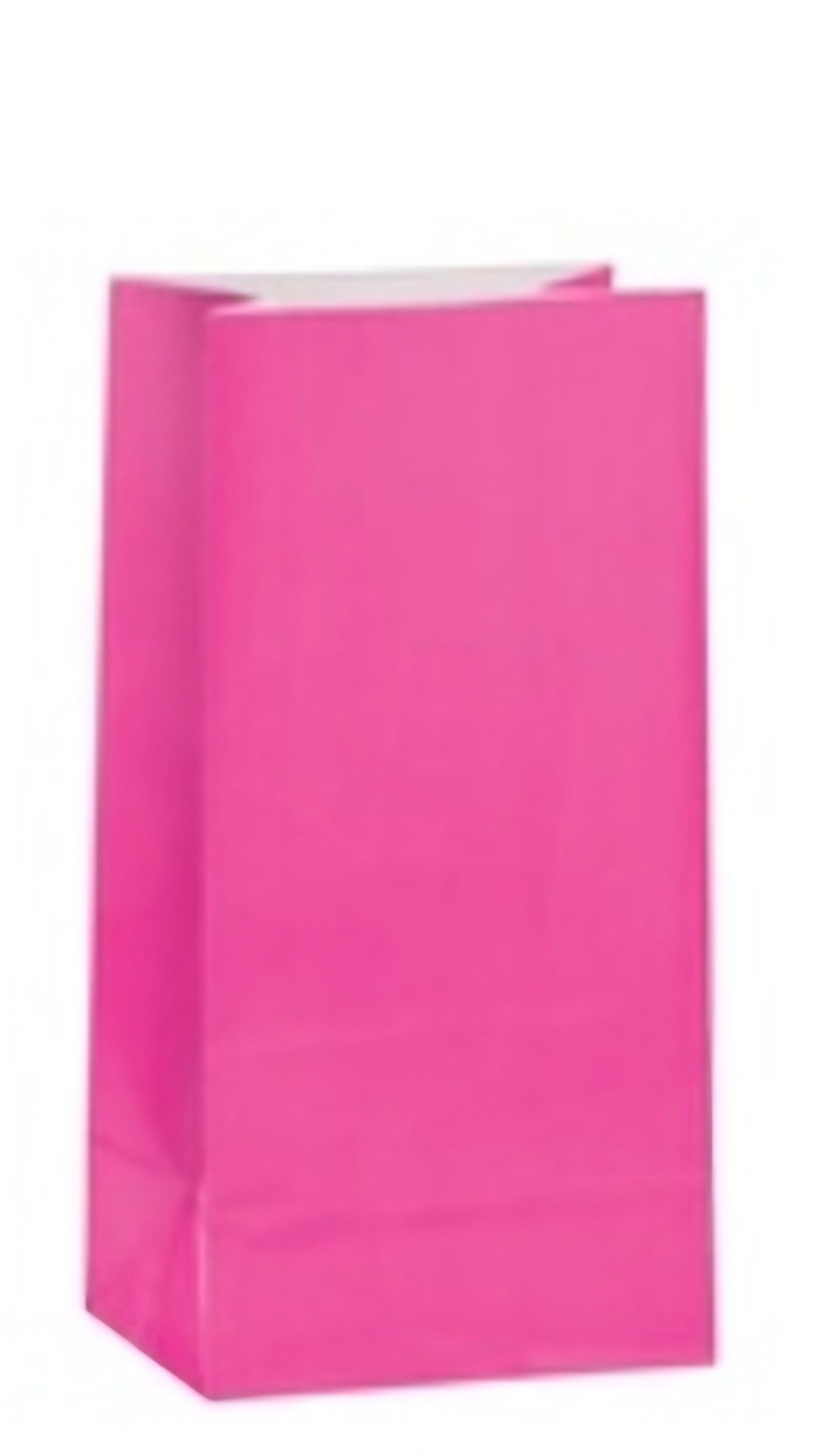 Unique Paper Party Bags 12ct